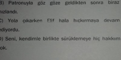 Türkçe cümlenin ogeleri