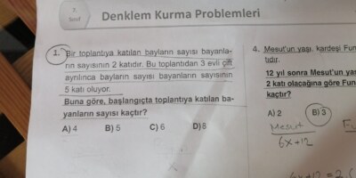 7. Sınıf denklem problemleri