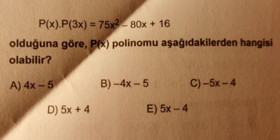 Matematik-Polinom