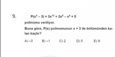 10.sınıf polinom