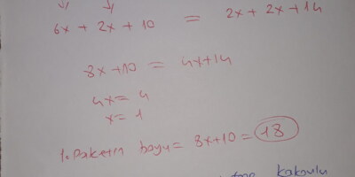 8.sınıf doğrusal denklemler eğim sorusu acil çözermisiniz