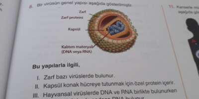 Biyoloji