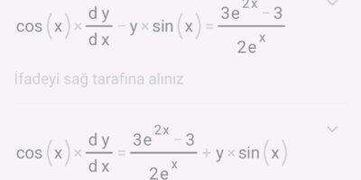 Matematik integral