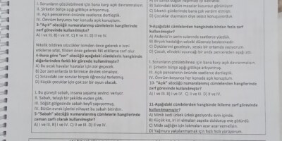 7. Sınıf türkçe zarflar etkinlik test